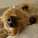 Estelle Bailey - @baileybird22 - Instagram
