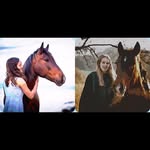 Tanja😍Bettina😍Estella😍Barry😍 - @nativehorses__fp - Instagram