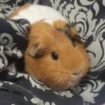 Milo,Camilla,Bruno,Estella,Benjamin - @m_c_b_e_b - Instagram