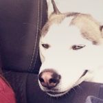 Estelle Bennett - @native.bennett.859 - Instagram