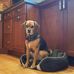 Estelle Bentley - Facebook