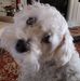 Estella Clark - Facebook