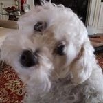 Estella Clark - @estella.clark.5494 - Instagram
