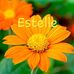 Estelle Ferguson - Facebook