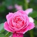 Estella Lopez - Facebook