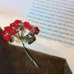 Estella Gillespie Lacombe Masón M'causland Salas - @estella_.gillespie - Instagram