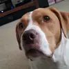 Estella Perez - @ecp40 - TikTok