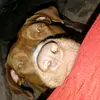 Estella Rincon - @estellar_1224 - TikTok