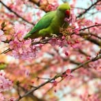 Estelle Spaulding - Facebook