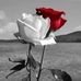 Estella Torres - Facebook