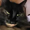 Estelle.Barker - @estelle.barker - TikTok