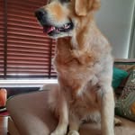 @estellegray749751 - Instagram
