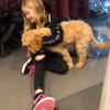 Estelle dances - @estellehilton - TikTok
