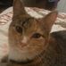 Estella Hoopes - Facebook