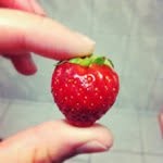 Estelle Howell - @tinsussolg - Instagram
