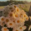 Estelle Jacobs - @estelle.jacobs - TikTok