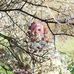 Estelle Lang - Facebook