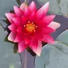 Estelle Mathis - @estelle.mathis - TikTok