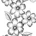 Estelle McLaughlin - Facebook
