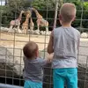 estellenolan0 - @estellenolan0 - TikTok
