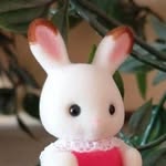 Estelle🩶 - @estelle_the_small_rabbit - Instagram