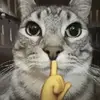 Estelle Stephen - @estelle.stephen4 - TikTok