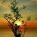 Estelle Steyn - Facebook