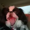 elle - @elle.strother - TikTok