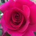 Estelle Temple - Facebook