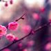 Estelle Winter - Facebook