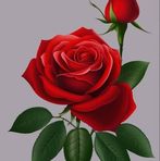 Ester Bruno Raymundo - Facebook