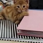 Ester Catejo - @estercatejo - Instagram
