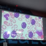 Tete Sacha - @cicero.ester - Instagram