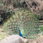 Amanda Elliott Ester - @amandaelliottester - Instagram