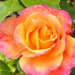 @ester_england1 - Instagram