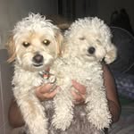 Ester - @ester.espinoza_ - Instagram