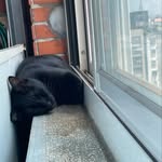 Esther - @ester_fang - Instagram