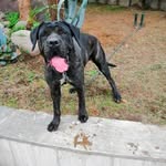 Ester Ferrara Maria - @ferrara_2007 - Instagram