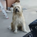 Ester Ferro - @esterferro10 - Instagram