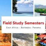 Field Studies and Internships Office - @fieldstudysemestersmcgill - Instagram
