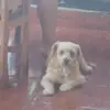 Ester Mila Ticse Fierro - @ester.mila.ticse - TikTok