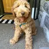Mr.Finn - @meesterfinn - TikTok