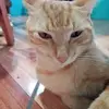 ESTER🍒 - @ester.fuller4 - TikTok