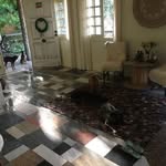 Ester Fuller - @esterfuller9 - Instagram