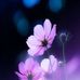 Ester Funes - Facebook