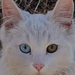 Ester Funes - @ester.funes.7 - Instagram