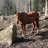Ester_Gill - @ester_gill - TikTok
