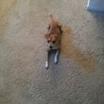 Ester  Gilbert - @estergilbert1281 - Instagram