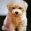 user765273783005 - @ester.giles.123 - TikTok