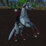ESTER GRAYRIDER - @ester_grayrider_sso - Instagram